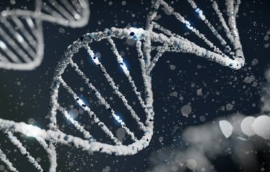 Aging Puzzle Unlocked: Longer Genes Linked To Shortening Lives