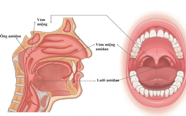 Các phương pháp điều trị viêm VA ở trẻ nhỏ