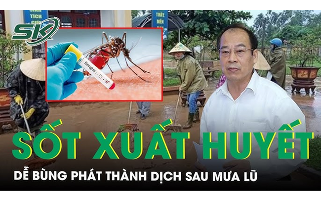 Cảnh báo dễ bùng dịch sốt xuất huyết sau mưa lũ và cách phòng tránh