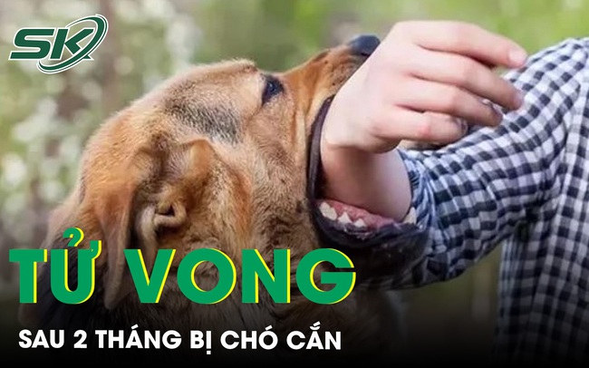 Tử vong vì chủ quan không tiêm phòng dại sau 2 tháng bị chó cắn