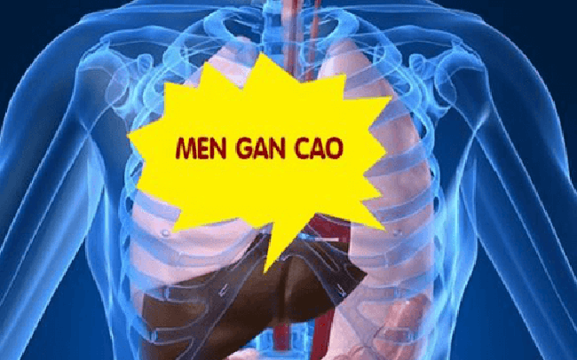 6 triệu chứng tăng men gan thường gặp