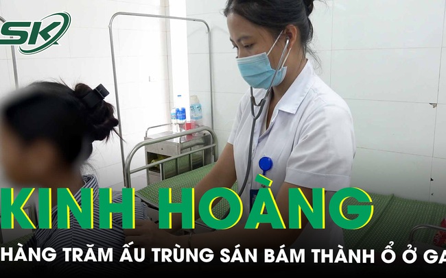 Kinh hoàng hàng trăm ấu trùng sán bám thành ổ ở gan vì sở thích ôm thú cưng