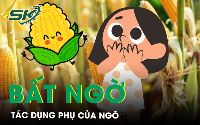 Nếu ăn quá nhiều ngô cơ thể sẽ xảy ra điều gì?