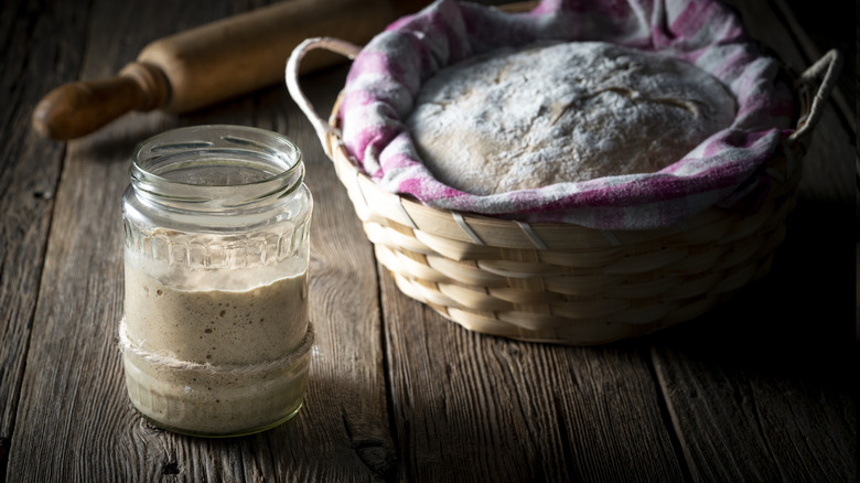 Don't Make This Mistake When Storing Sourdough Bread Starter