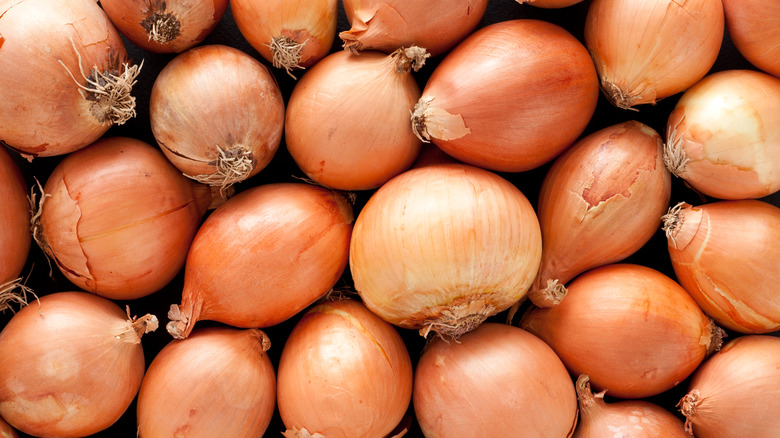 The Best Place To Store Organic Onions To Prevent Sprouting