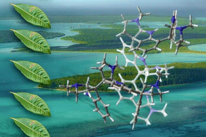 Phá vỡ trong hóa học: tạo ra phòng thí nghiệm của các phân tử đa mạch lớn