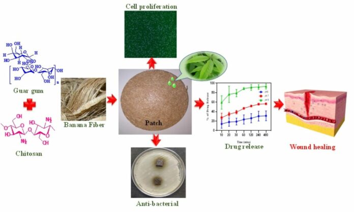 Eco-friendly wound dressing inspired by banana fibres