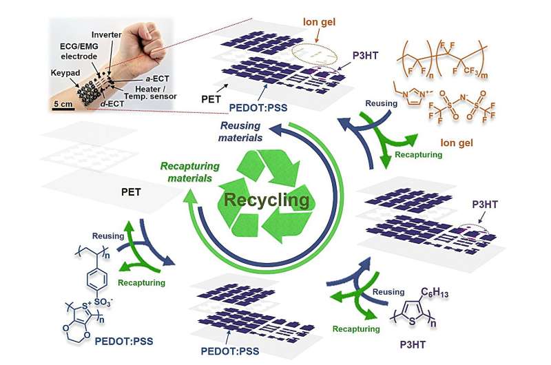 Một phương pháp mới để phát triển các thiết bị điện tử có thể tái chế, hữu cơ và linh hoạt