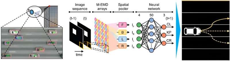 Research team develops insect-mimicking sensor to detect motion