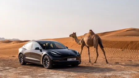 Tesla cắt giảm giá xe bán chạy nhất trên toàn cầu khi nó có vẻ chống lại một kẻ phá sản trong doanh nghiệp