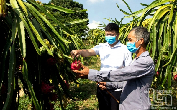 Xanh thêm đất đồi rừng Tràng Xá