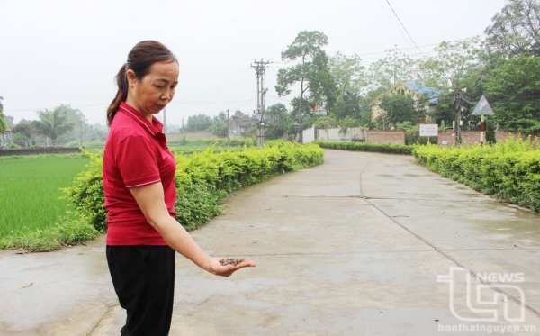 Siết chặt quản lý hoạt động vận tải phế liệu kim loại