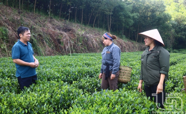 Người mang chè đi xa hơn