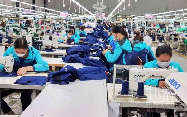 Võ Nhai: Phấn đấu giá trị sản xuất công nghiệp - xây dựng tăng 8%