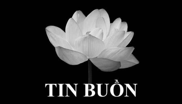 TIN BUỒN