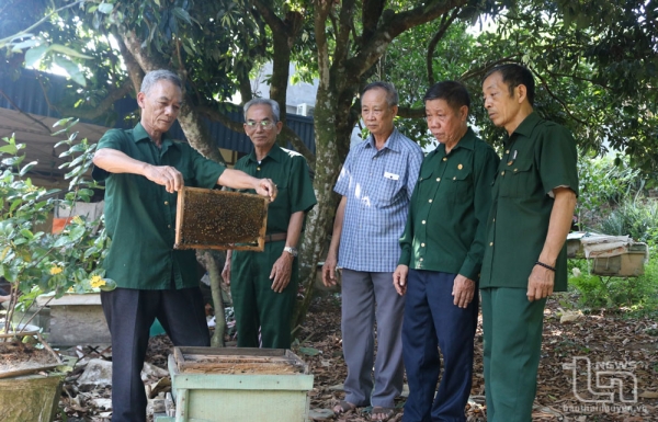 Học Bác lòng ta trong sáng hơn