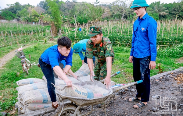 Tuổi trẻ thành phố Thép chung tay vì cuộc sống cộng đồng