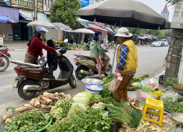 Giá thực phẩm sau Tết dần ổn định