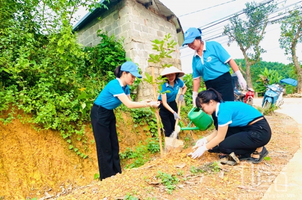 Phụ nữ Phú Lương chung tay làm đẹp làng quê