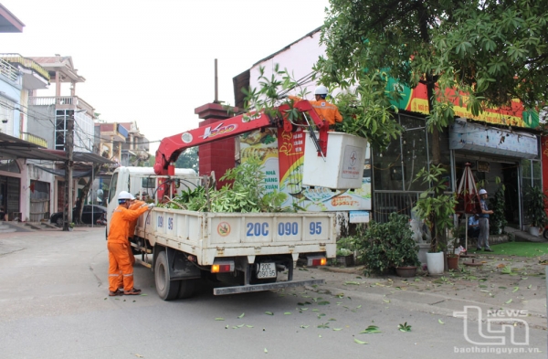 Bảo vệ hành lang an toàn lưới điện