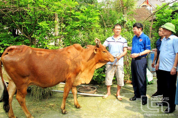 Trao “cần câu” cho người khuyết tật