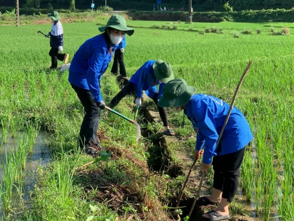 Ngày Chủ nhật xanh ý nghĩa