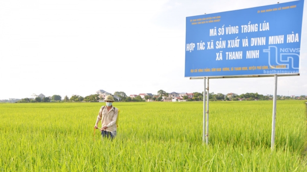 Thanh Ninh chú trọng nâng cao thu nhập cho người dân