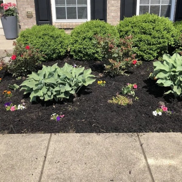 Homeowner receives warnings after sharing image of their latest landscaping dilemma: 'It smothers plants and rots root systems'