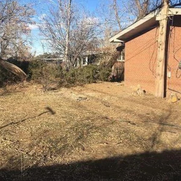 Homeowner shares striking before-and-after photos of their backyard transformation: 'Functional and beautiful'