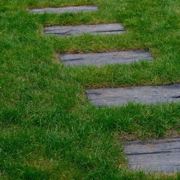 Homeowner shares progress photos of their yard's untraditional ground cover: 'There is a noticeable difference'