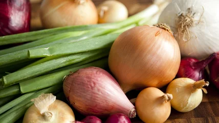 9 Different Types Of Onions And The Best Ways To Use Them