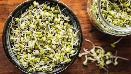 Do Canned Bean Sprouts Need To Be Cooked Before You Eat Them?