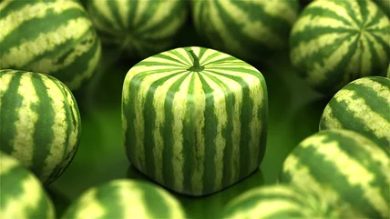 Quảng trường Watermelons đắt tiền Nhật Bản thậm chí còn không có đủ thức ăn