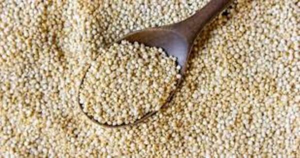 Sức mạnh của Millet: Một lời khuyên hữu ích về sức khỏe