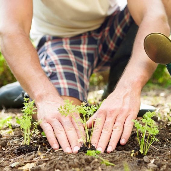 10 cách đáng ngạc nhiên Làm vườn là một trong những điều lành mạnh nhất bạn có thể làm