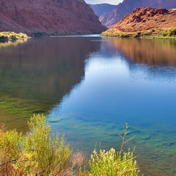 Vai trò then chốt của một nhà máy thủy điện nhỏ bé để bảo tồn tương lai sông Colorado