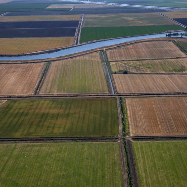 ‘Invisible’ water losses in California’s agricultural heartland now match volume of giant reservoir: Study