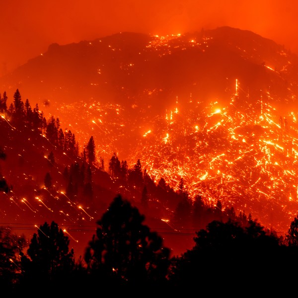 Fire suppression is exacerbating wildfire severity in the US West: Study