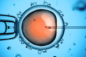 Health Ministry closes clinic for defective IVF treatment