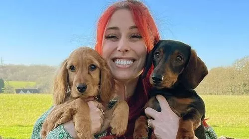 Stacey Solomon phát biểu sau 10 triệu tin nhắn từ người hâm mộ lo lắng về thú cưng của mình