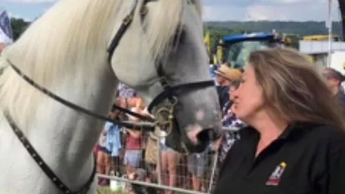 'Horse Whisperer' woman accused of murder bursts into tears in court over dogs' death