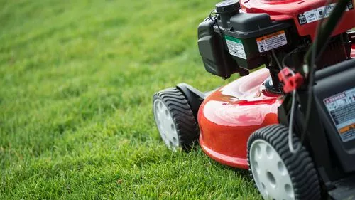 Brits warned not to mow their lawns this weekend or risk costly disaster