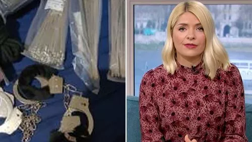 Holly Willoughby 'âm mưu giết người bị cáo đã mua chloroform và lập bản đồ lộ trình đến ngôi sao nhà '