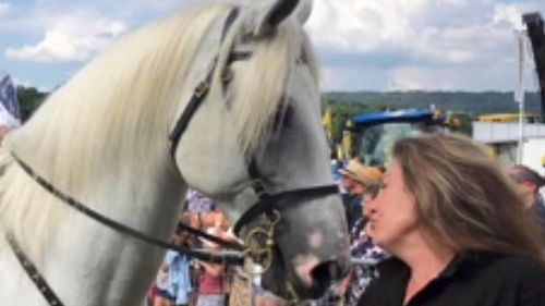 'Horse Whisperer's' first four words to her daughter after 'murdering husband at home'