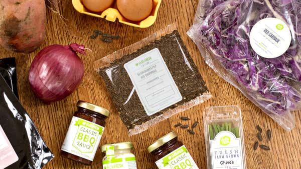 HelloFresh Meat Kit bao gồm gói của nhà hàng-Stle Rat thả