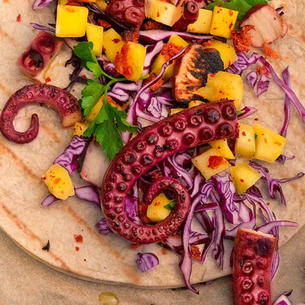 Is the World Ready for Plant-Based Octopus?