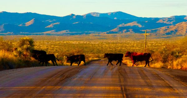 10 Thị Trấn Nhỏ Quyến Rũ Gần Tucson, Arizona