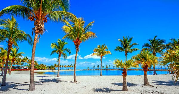 18 Địa Điểm Ở Florida Có Cảm Giác Giống Như Vùng Caribe