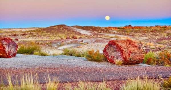 Công viên quốc gia Arizona bị đánh giá thấp này sẽ trở thành một trong những công viên được yêu thích nhất vào năm 2024