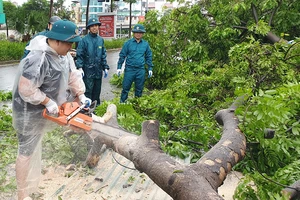 Nỗ lực khắc phục hậu quả bão số 3